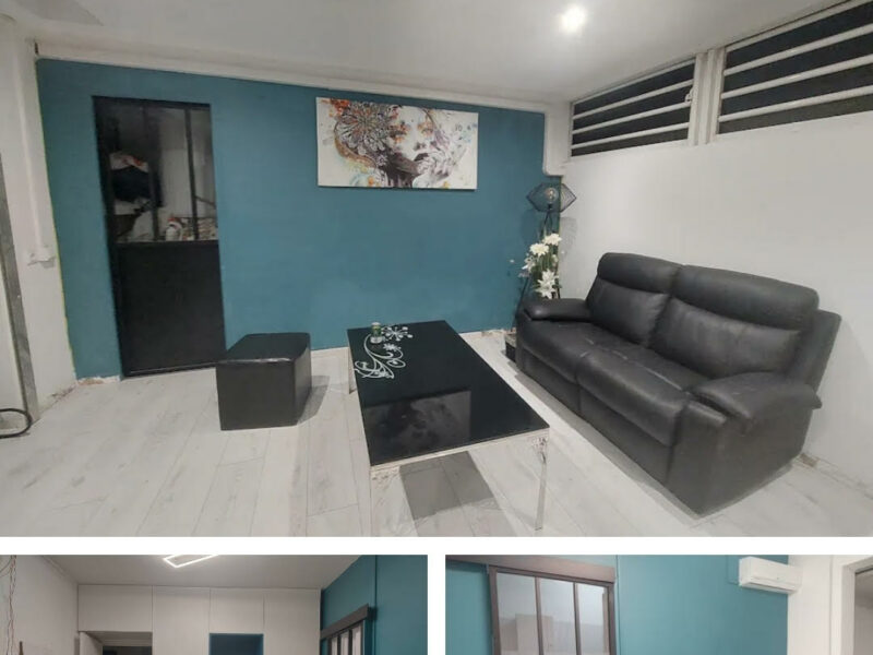 Partage appartement F3/F4 terrasse jardin vue mer