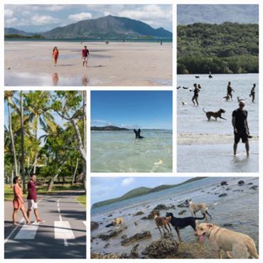 ✨ Chambre privée – Coloc VDC Nouméa ✨ 🛏️ Chambre meublée avec aménagement fonctionnel